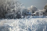 Яшәү өчен көрәш —  тормыштан алынган язма